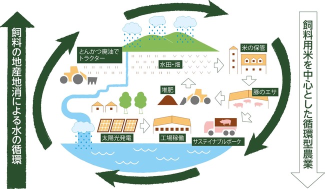 持続可能な取り組みで育てるサステイナブルポーク