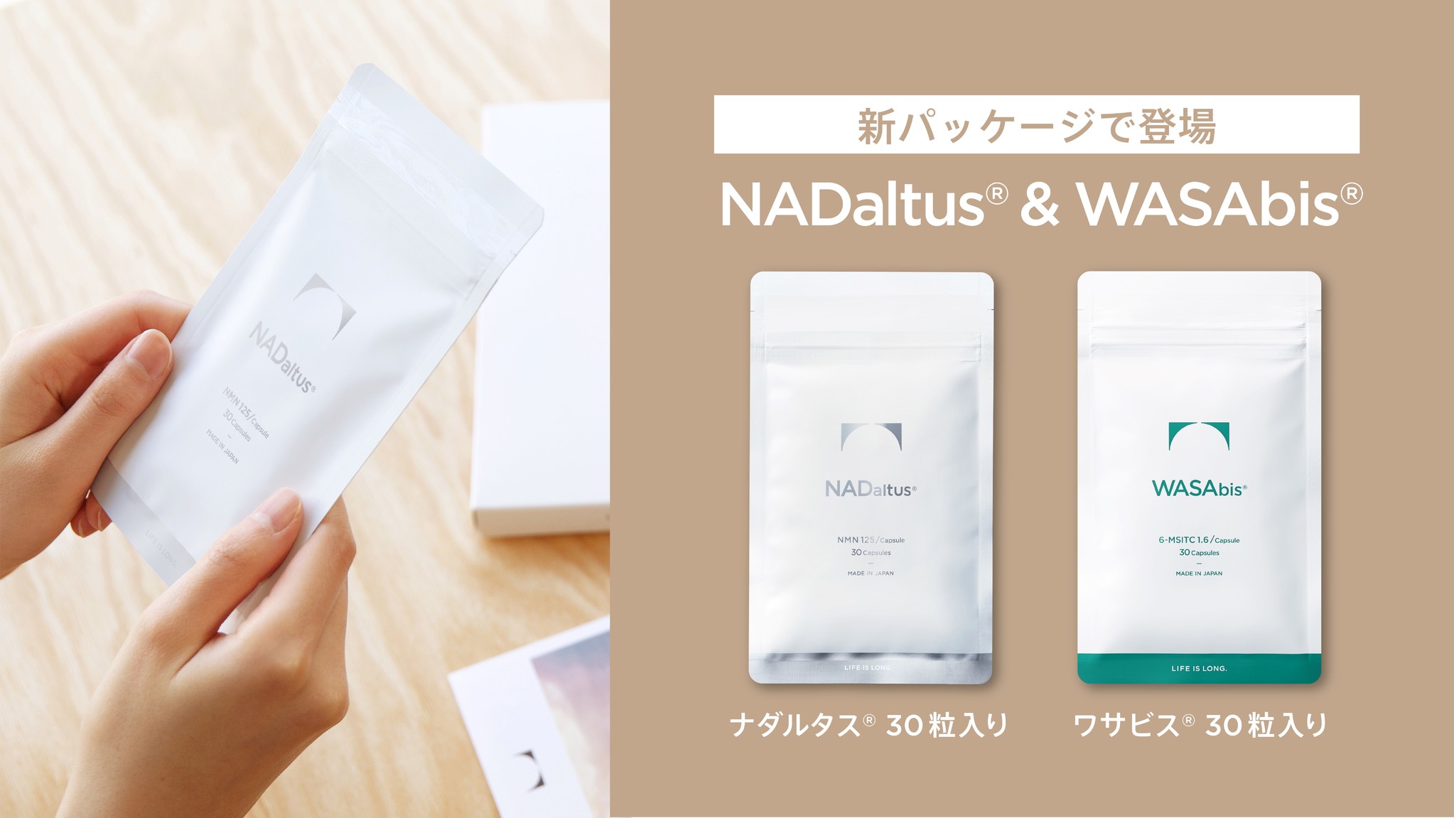 最新モデルが入荷 NOMON NADaltus ナダルタス