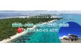 八重山諸島屈指の透明な海「パナリブルー」が残る神秘の島「新城島」へ初上陸！チャーター船を貸し切り、離島の旅を満喫　「沖縄・八重山5島めぐり4日間」を発売