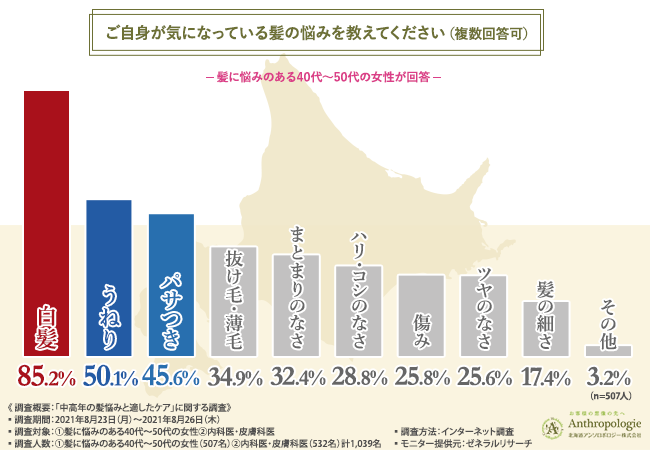 加齢にともなう髪 悩み 内科医 皮膚科医の8割が内側からのケアが大事と提言 ヘアケア効果を実感している人とは対策と費用に大きな差が 北海道アンソロポロジー株式会社のプレスリリース