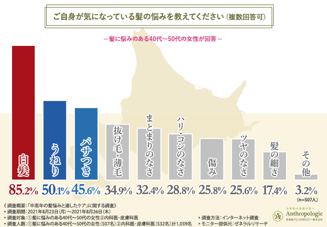 加齢にともなう髪悩み 内科医 皮膚科医の8割が内側からのケアが大事と提言 ヘアケア効果を実感している人とは対策と費用に大きな差が 北海道アンソロポロジー株式会社のプレスリリース