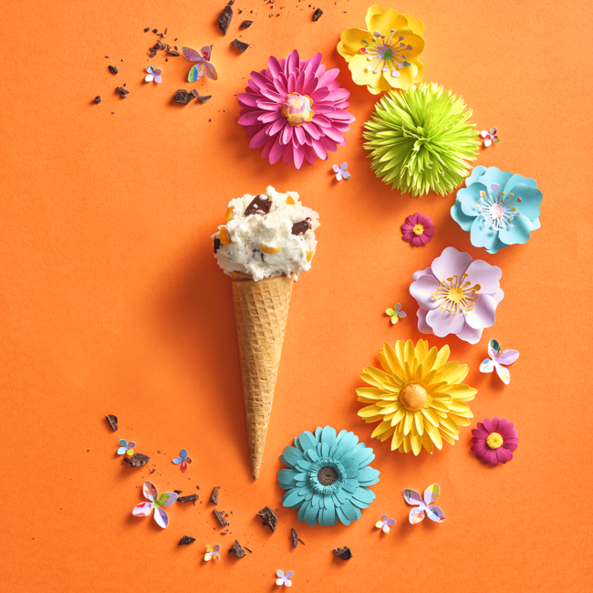 ジェラート「カッサータ」 ジェラート「カッサータ」