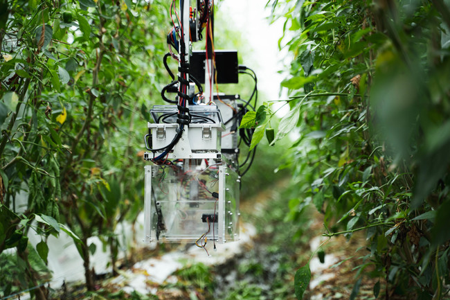国際特許申請中の収穫ロボット：空中をロープウェイの様に移動し、ハウス内における地面の状態や障害物に影響されずに、ハウス全体を自由に巡回・収穫・データ収集することが可能
