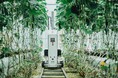 農業課題の解決のためにさらなる技術革新へ。広沢技術振興財団の令和6年度ものづくり技術助成事業に採択。