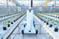 AGRIST、AI搭載の自動収穫ロボット「Q」で、夜間稼働・24時間稼働の実現を目指す