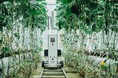 【シリコンバレー進出】J-Startup選出のAGRIST、経済産業省「Japan Innovation Campus」に採択。日本の「ものづくり」精神と農業ロボット技術でグローバル基盤を構築