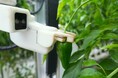 AGRIST、Microsoft AI Co-Innovation Lab KOBE 年次イベントにて「フィジカルAI×農業」の先進事例として紹介