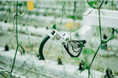 AGRIST、農水省「開発供給実施計画」の認定を取得。社会実装に向けた体制構築を加速