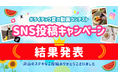 「夏を感じるアイデア投稿」SNSキャンペーン結果発表！総勢数多くの応募から選ばれた受賞作品を公開。ライテック製品で日本の夏を満喫！ユニークな動画投稿で選ばれた受賞者の皆様を発表