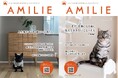 愛犬・愛猫と飼い主さんが心地よく幸せに暮らすためのライフスタイルマガジン「AMILIE（アミリエ）」Vol.12が3月31日に発刊！犬と猫が心地よく暮らせるための情報が満載！