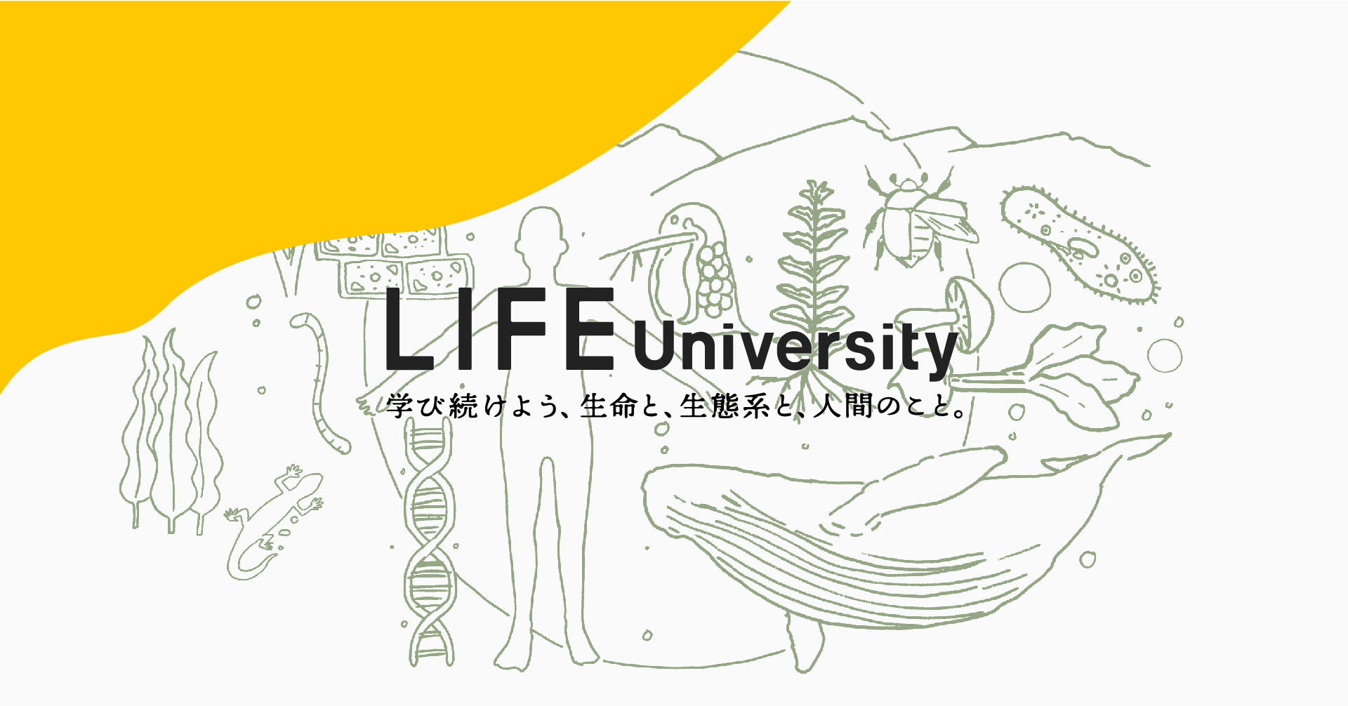自然科学や生命科学をベースに これからの社会をデザインするイノベーション スクール Life University 開講 いきものカンパニーのプレスリリース