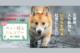 「9月は防災月間」―誰ひとり取り残さない避難をめざして『ペット防災カレンダー2026』啓発配布スタート