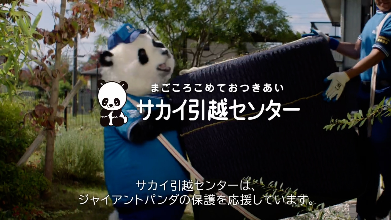 サカイ引越センター新cmに恩賜上野動物園 双子パンダ シャオシャオ レイレイが登場 株式会社サカイ引越センターのプレスリリース