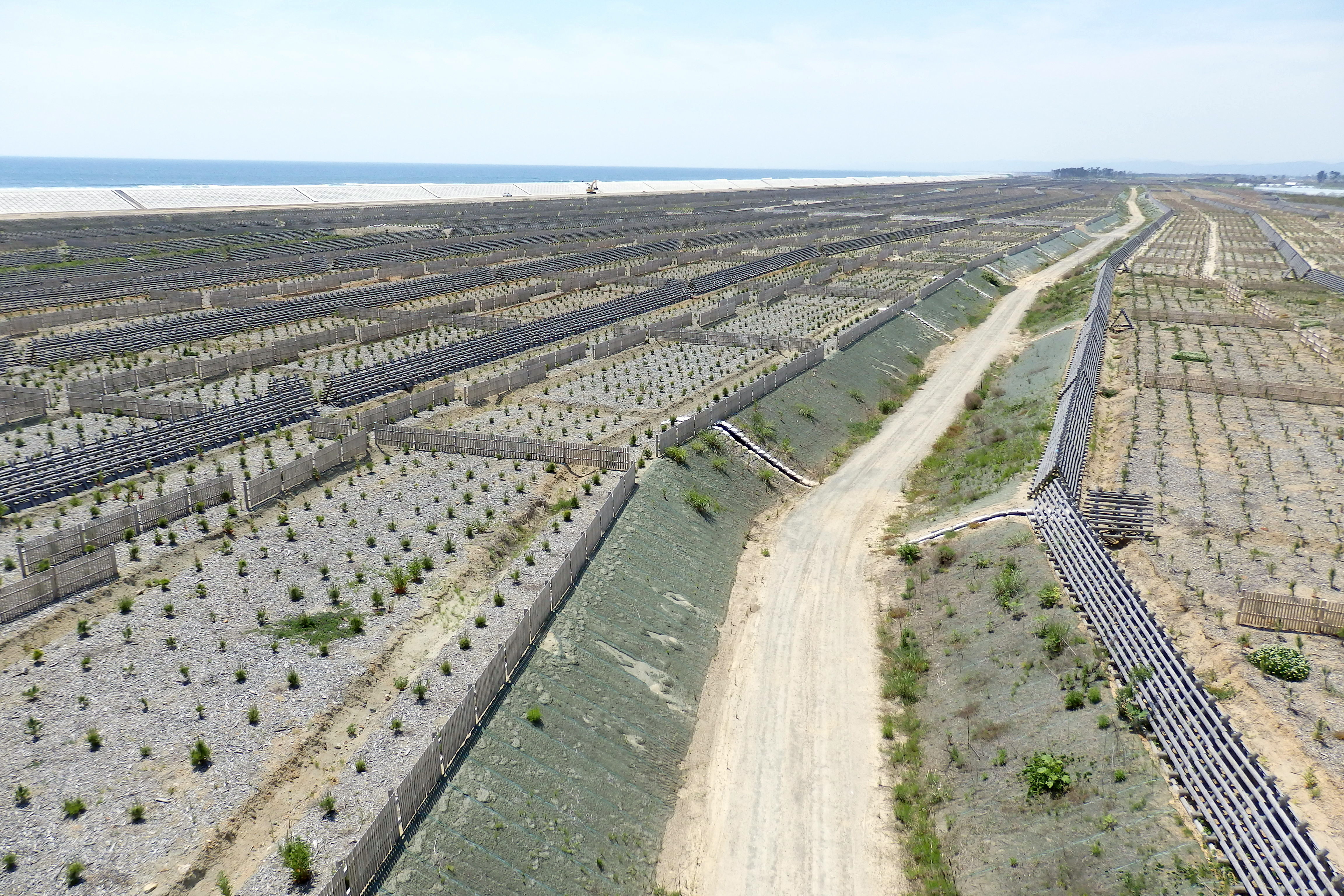 東日本大震災復興支援 「海岸林再生プロジェクト10ヵ年計画」第3回定期活動報告会｜オイスカのプレスリリース