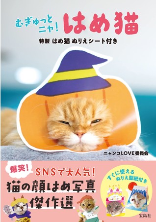 新刊情報 猫が顔だし看板で大変身 はめ猫 写真集が発売 株式会社 宝島社のプレスリリース