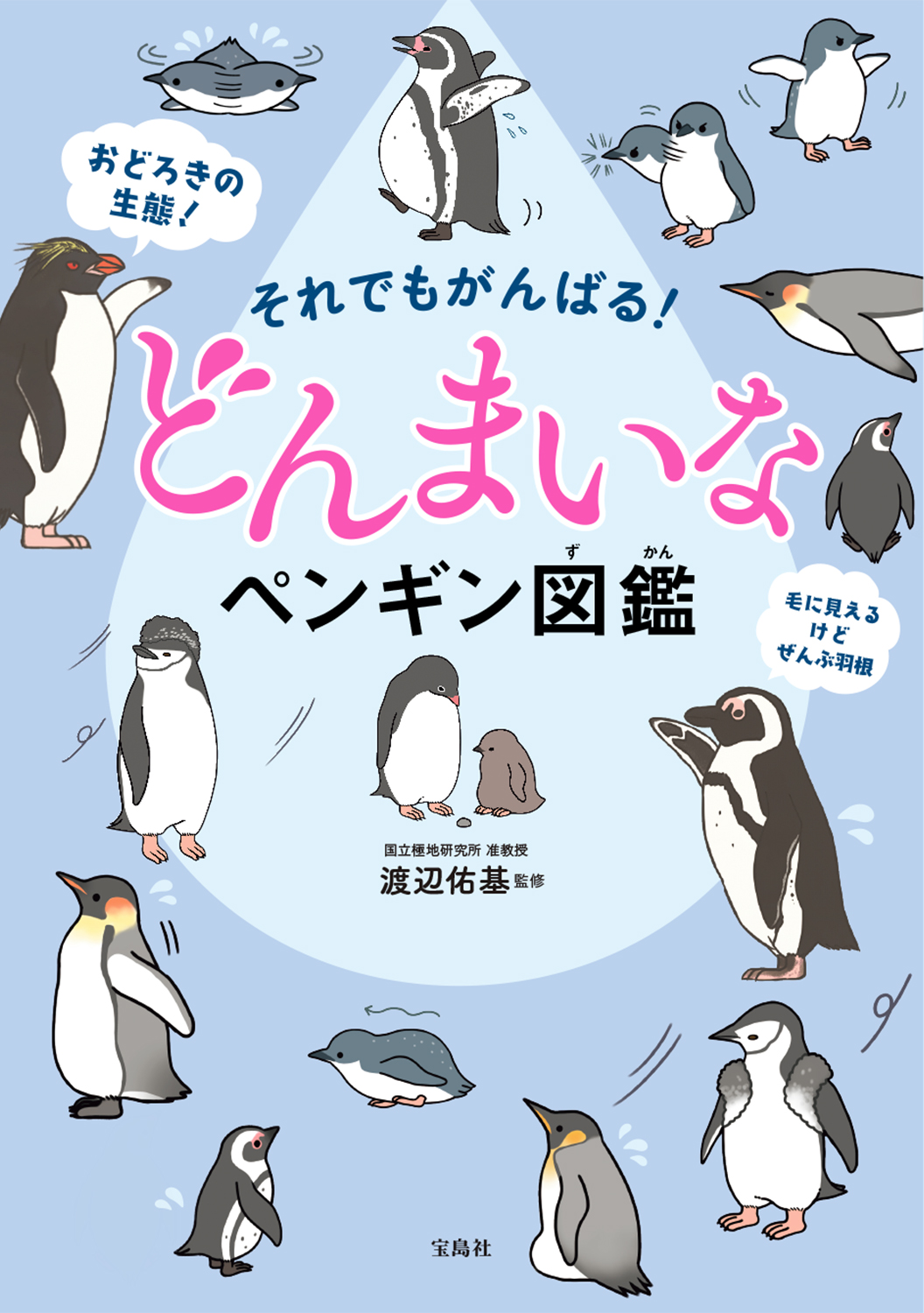 無料ダウンロード かわいい ゆる かわ ペンギン イラスト 最高の新しい壁紙aahd