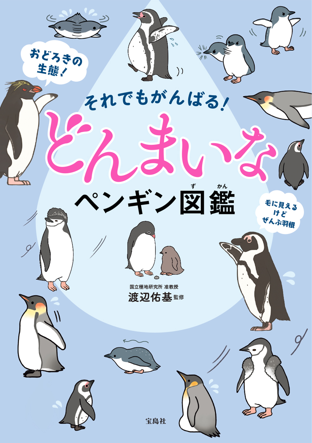 一生懸命生きているのにどこか惜しい それでもがんばる どんまいなペンギン図鑑 3 15発売 新刊案内 株式会社 宝島社のプレスリリース