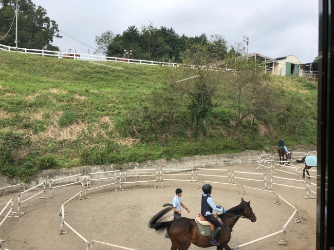 天空の乗馬クラブ　クレイン神奈川