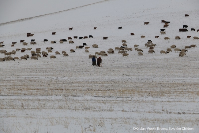 極寒の中、一日中家畜の世話をする遊牧民(モンゴル ウブルハンガイ県)