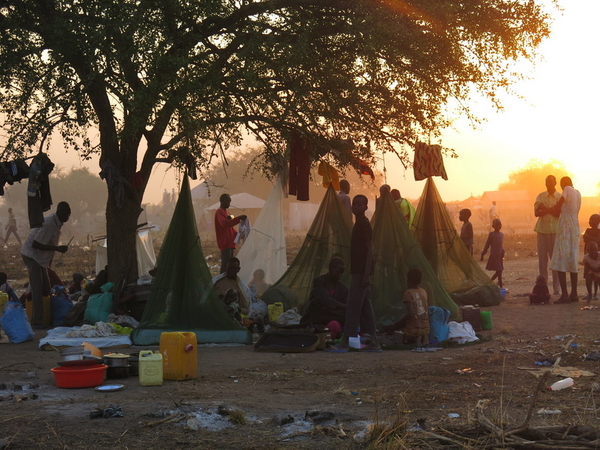 野外の木の下で寝泊まりする国内避難民の家族　南スーダン・アウェリアル　(c)Save the Children