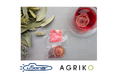 ユーソナーとAGRIKOがコラボ、ローゼル・オレンジのハーブティー制作~「法務・コンプライアンスEXPO」で配布へ~