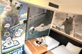 大阪2軒の変なホテル 開園110周年「天王寺動物園」とコラボ「アニマルルーム」満天ノ 辻のや 冬の風物詩「蟹尽くし会席・活ガニ会席」発売