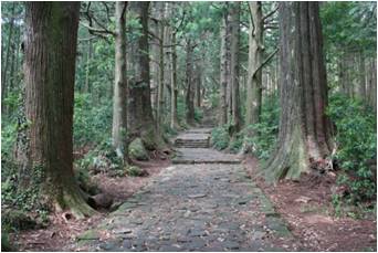 日本の世界遺産保全ツアー第一弾 『熊野古道世界遺産登録10周年記念道