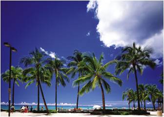 ハワイで介助の 心 を学ぶ先進的バリアフリーを学ぶスタディーツアーハワイ5 日間 株式会社エイチ アイ エスのプレスリリース