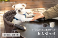 お客様の声から小さいサイズが新登場！テーブルにつける愛犬用ベッド『わんぽっけ』で愛犬とのカフェや旅行がもっと楽しくなる！