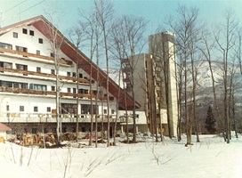 開業当時の大屋根ホテル