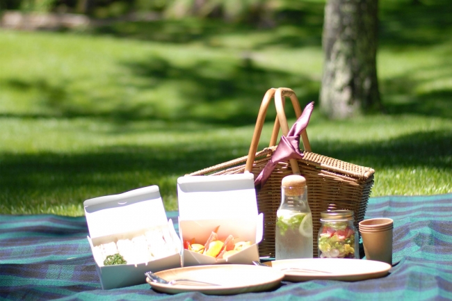 おしゃれピクニック体験を蓼科高原の森の中で ピクニック イン ザ ガーデン 株式会社東急ホテルズのプレスリリース