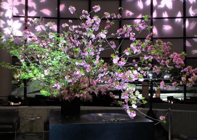 空間演出 桜 Sakura 渋谷区内の桜の名所 桜丘町に建つホテル空間で 桜のお迎え花が開花いたします 株式会社東急ホテルズのプレスリリース