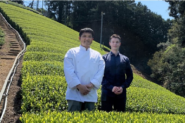 静岡県駿河区「松川茶園」 静岡県駿河区「松川茶園」