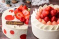 煌めく瞬間を特別なケーキとともに