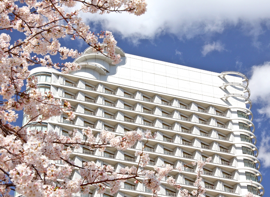 横浜ベイホテル東急 みなとみらいのさくらを満喫 宿泊プラン さくら日和 を販売 株式会社東急ホテルズのプレスリリース