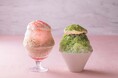 横浜ベイホテル東急、夏限定の新感覚かき氷を発表! “深層天然水”を使用した「桃」と「抹茶」の贅沢な味わいを楽しむ