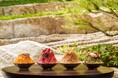 夏の風物詩「かき氷」を、セルリアンタワー東急ホテルで。今年新たに登場の「ミックスベリー」や「塩キャラメル」を含む至極のかき氷4種ラインアップ