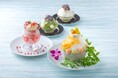 【ザ・キャピトルホテル 東急】猛暑を癒す至福のひんやりスイーツとろける苺、旬のメロン、島根県産の柿を味わう夏季限定「かき氷」が7月1日より登場