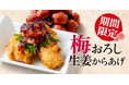 【がブリチキン。】初夏にさっぱり！鬼おろし×梅だれの爽やか仕立て「梅おろし 生姜からあげ」新登場‼