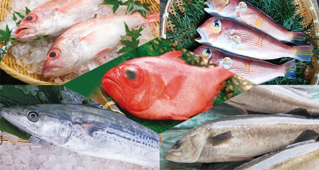 オークラ千葉ホテル 漁師が選ぶ美味しいお魚を西洋料理のコースで堪能できる 魚コレ Pride Fish を提供 オークラ ホテルズ リゾーツのプレスリリース