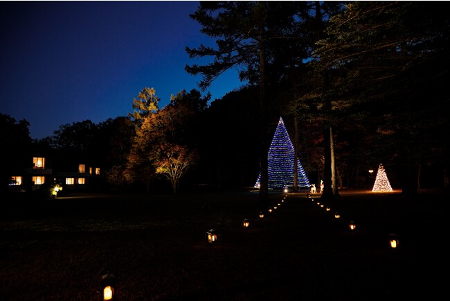 クリスマスイルミネーション クリスマスイルミネーション