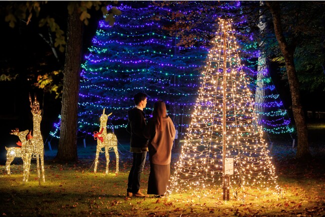 クリスマスイルミネーション クリスマスイルミネーション