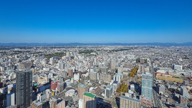 展望回廊からの眺望