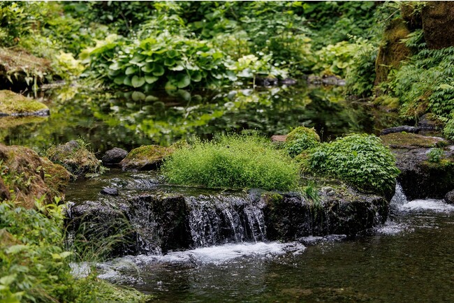 敷地内に湧き出る「御膳水」