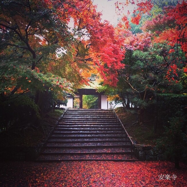 安楽寺