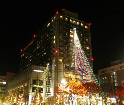 京都ホテルオークラ 創業126周年 クリスマスイルミネーション オークラ ホテルズ リゾーツのプレスリリース
