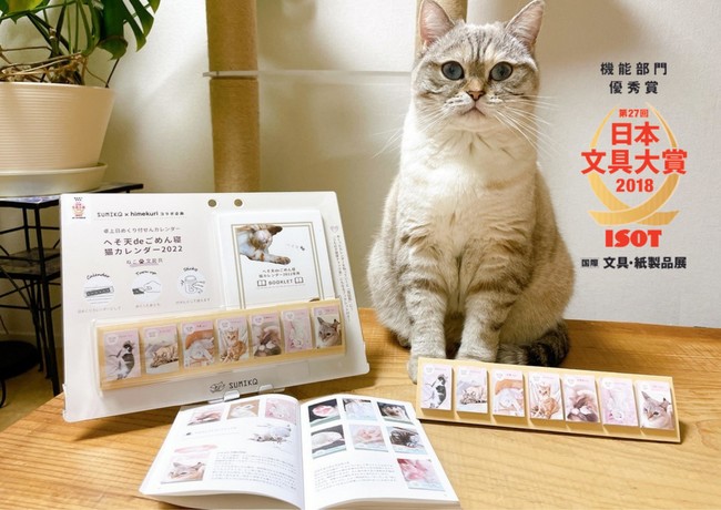 22年は毎日違う猫ちゃんと 新感覚の 日めくり猫カレンダー 登場 株式会社tiramisuのプレスリリース