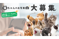 【多くの反響をいただき締切延長】猫ちゃんのお写真大募集!ブランド公式LINE企画で「モデルデビュー」のチャンス!☆2024年11月24日まで☆