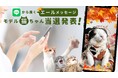 300枚を超える中から選ばれし52ニャン♪猫ぐらしブランド公式LINE企画"モデル猫ちゃん"当選者発表!