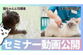 【セミナー動画公開】秋の猫イベントで開催された"猫ちゃんを知り尽くした専門家"の公演をYoutubeにて公開中